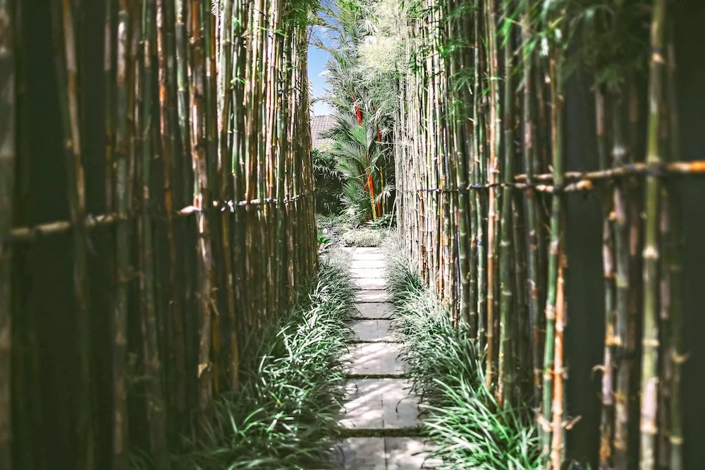 Villa Oasis In Canggu