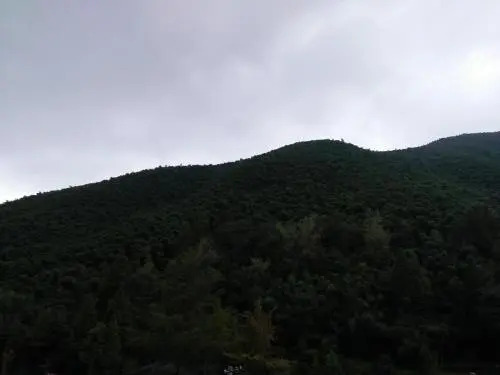Lan Xing Yuan Hostel