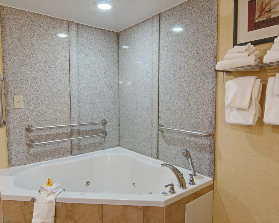 Comfort Suites Salem-Roanoke I-81