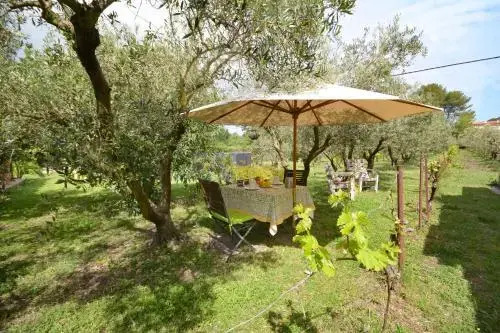 Le Cabanon de l'olivette