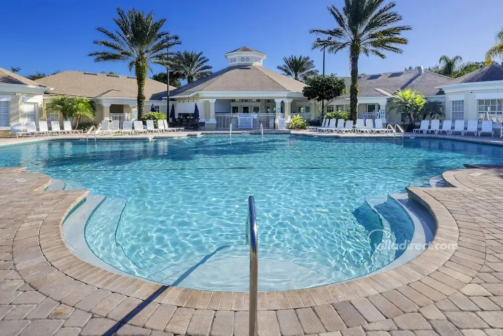 Wired Palms