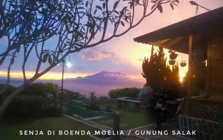 Villa Boenda Moelia