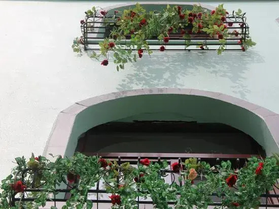 Weilan Seaside Hostel