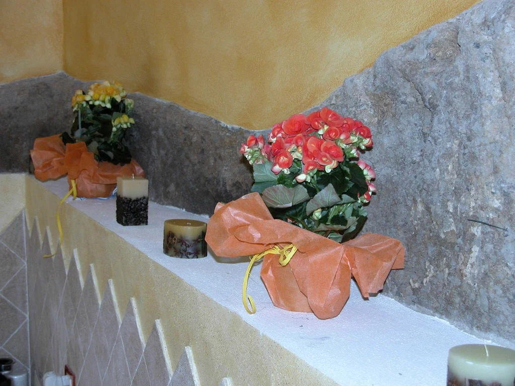 B&B Belvedere