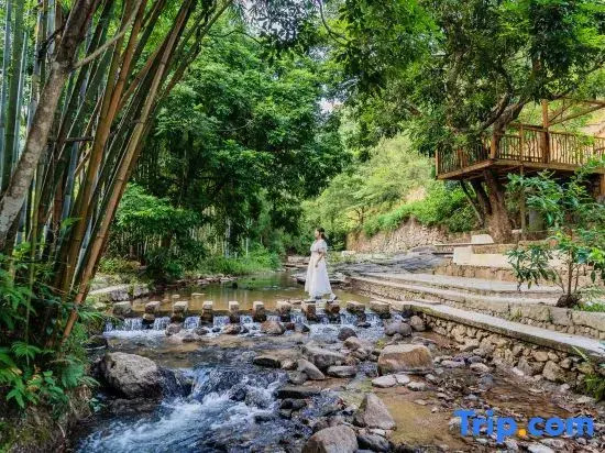 Guangzhou Shijian Xiangjing Qixidi Homestay
