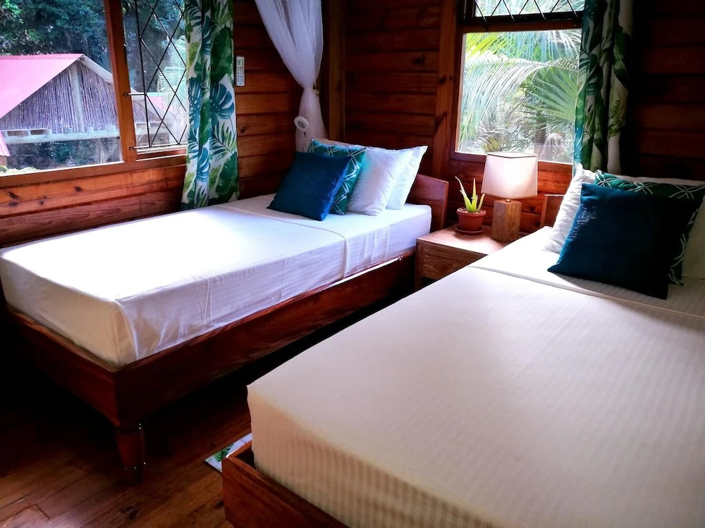 Villa With 4 Bedrooms in Anse La Blague, With Private Pool and Enclosed Garden Near the Beach