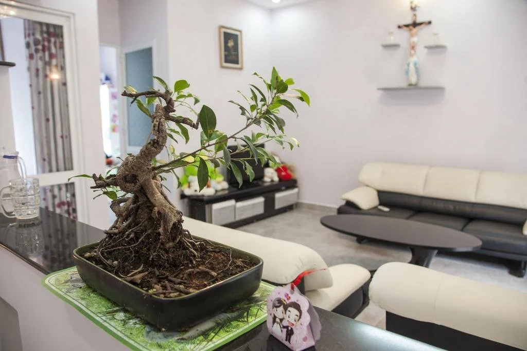 Dalat Jungle View Homestay