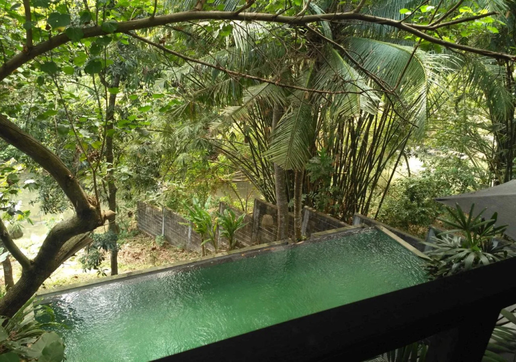 Treetop Waterfall
