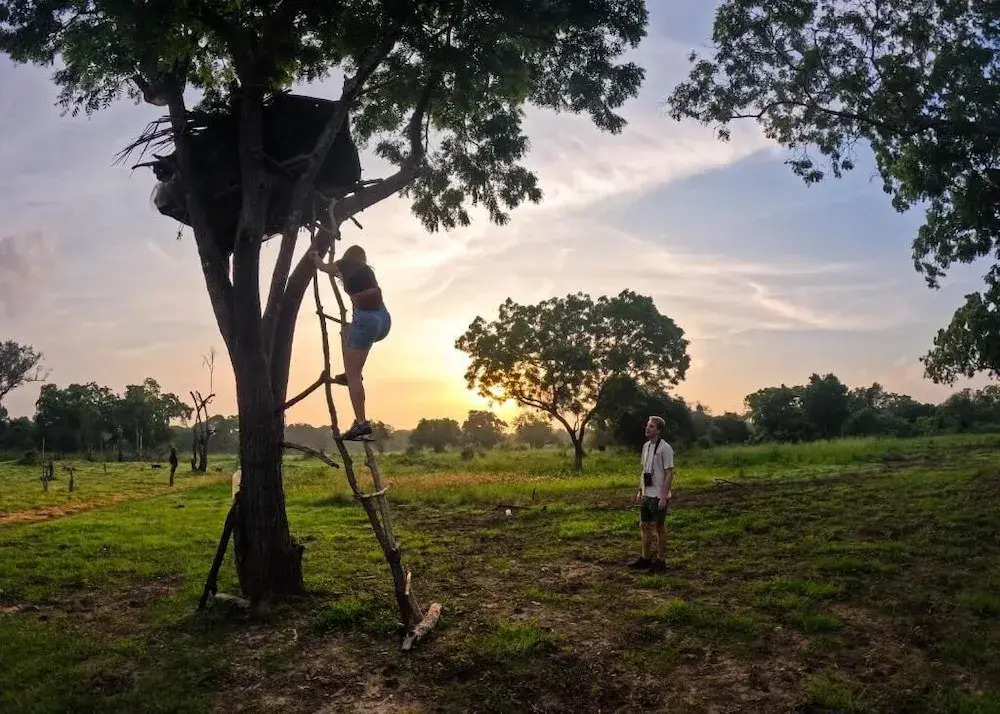 Safaria Lodge Wilpattu