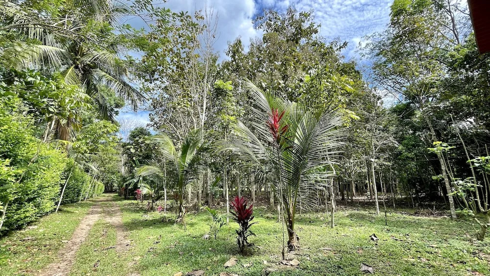 Villa Sebastiana Bungalows