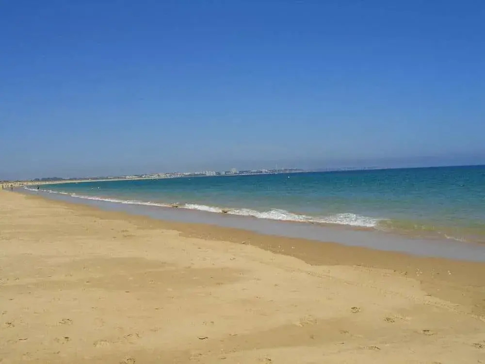 Vila Palmeira Beach Resort