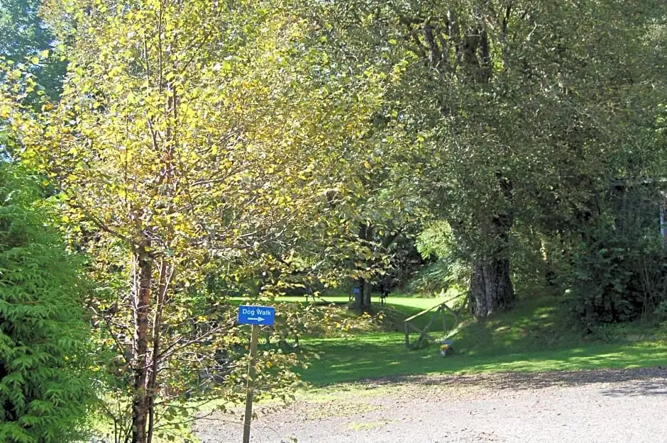Cosy Rowan woodland lodge no3