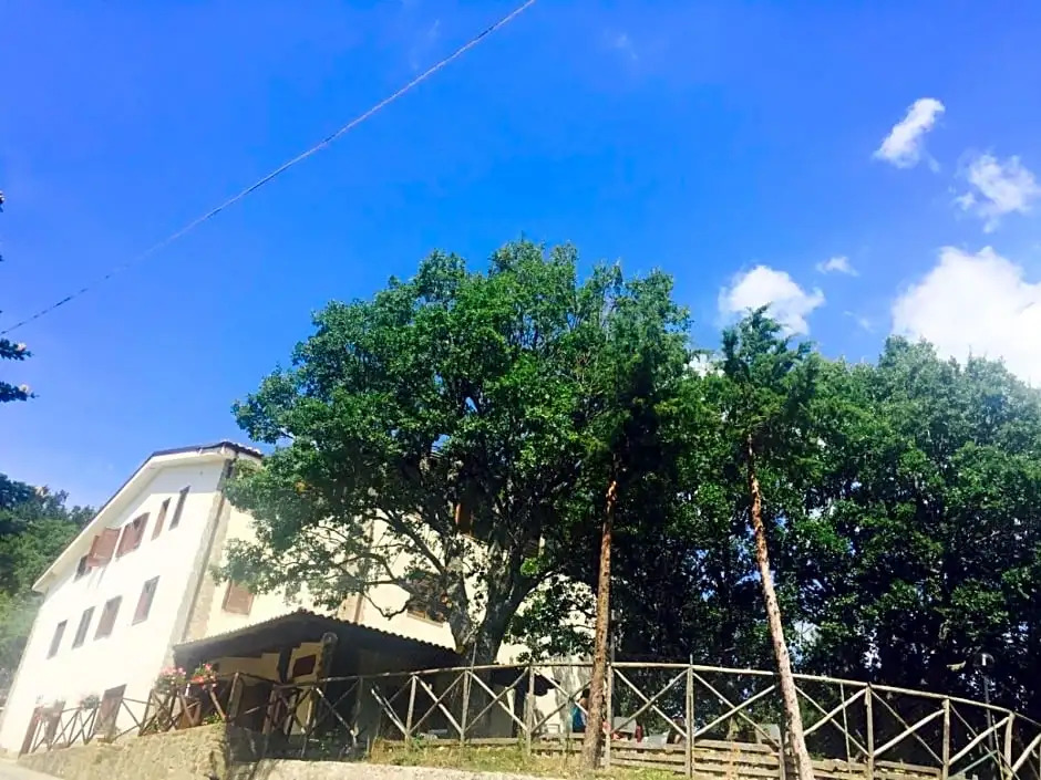 Ambrosiahostel
