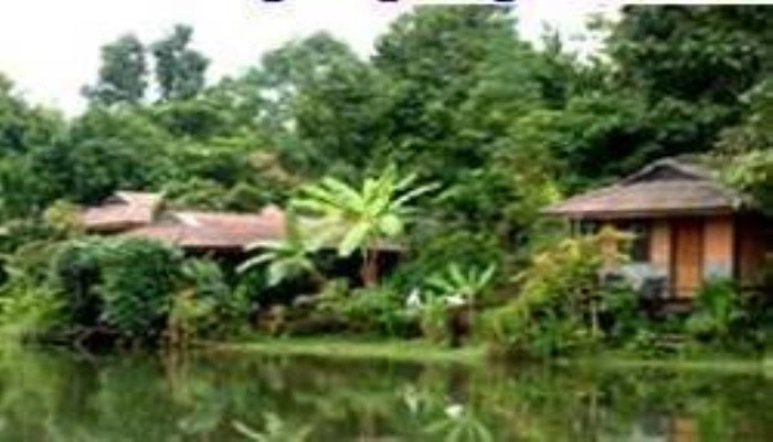 Paradise Spa Resort