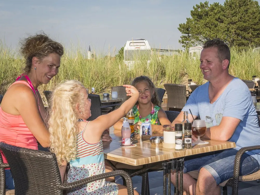 Comfortable Chalet in the Texel Dune Areal
