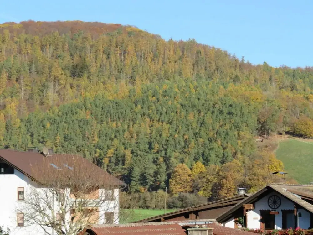 Holiday Apartment Dream View