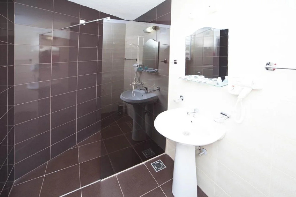 Hotel Lebed