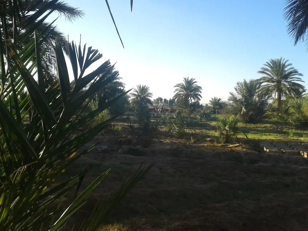 Sahara Source Vie