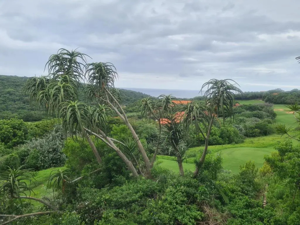 Zimbali 28 Club Drive