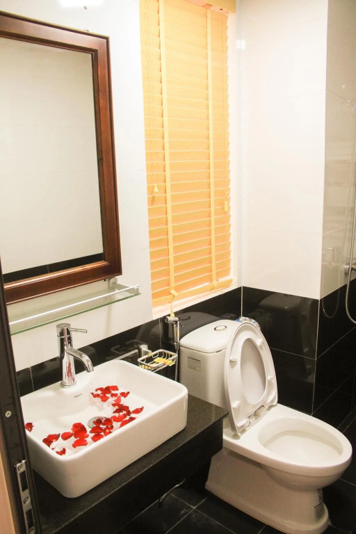 Sapa Luxury hotel & Spa