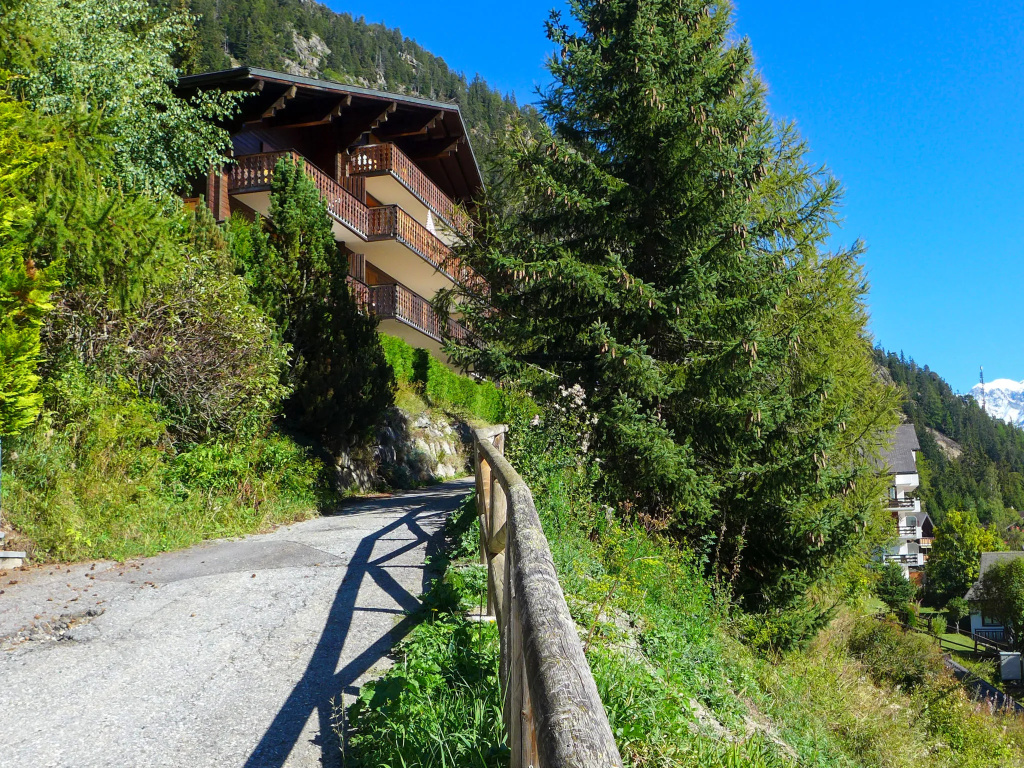 Colline 7