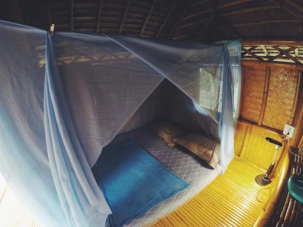 the banana cabins