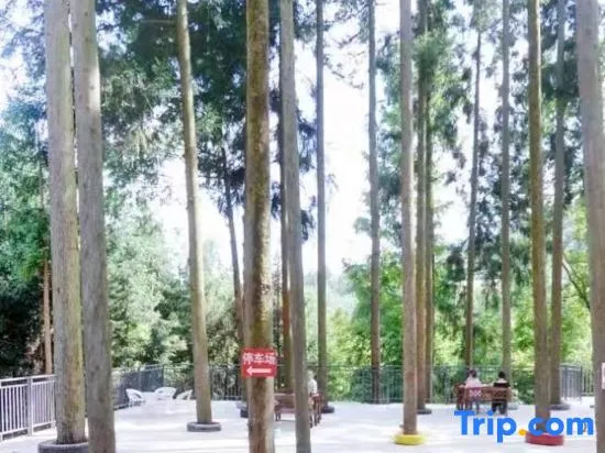 Shizhulinyoujubishushanzhuang