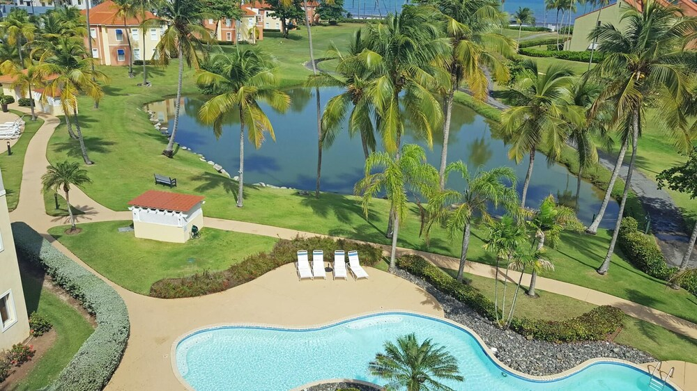 Turtle Pond