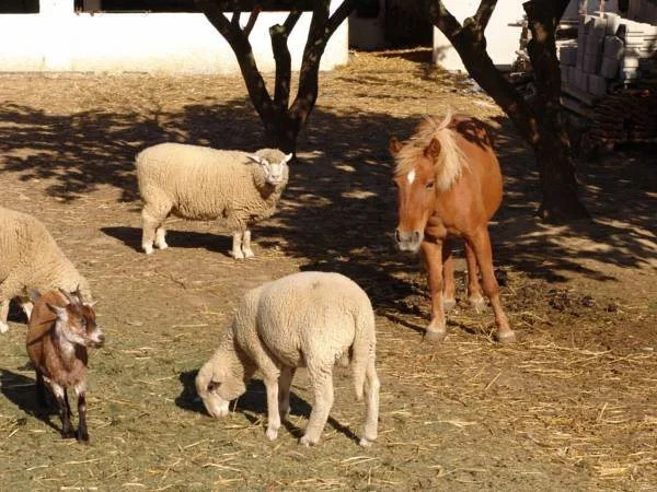 Quinta De Santa Maria D Arruda - Hotel Rural