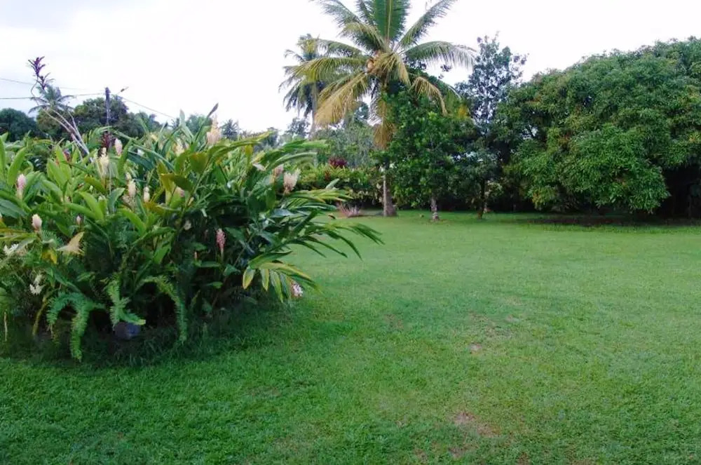 Apartment With one Bedroom in Goyave, With Wonderful Mountain View, Enclosed Garden and Wifi - 2 km From the Beach