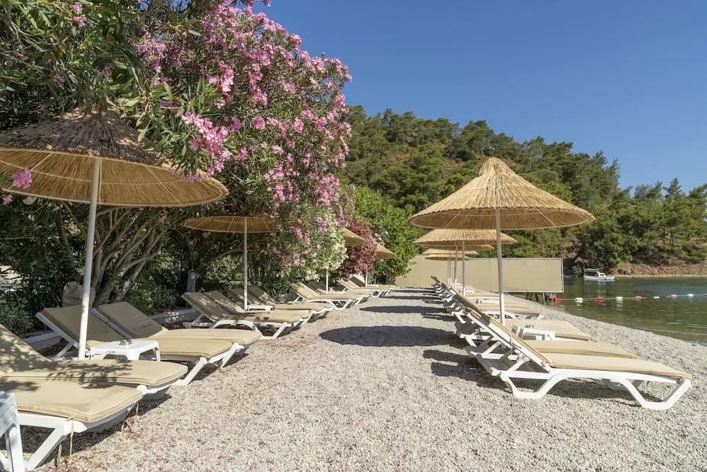 Alesta Residence