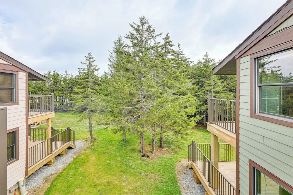 Ski, Hike, Bike! Family Haven at Snowshoe Mountain