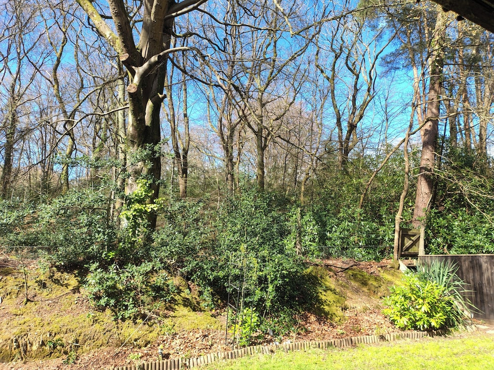 Forest Cabin Retreat-sleeps 2-garden, Wifi, Trails