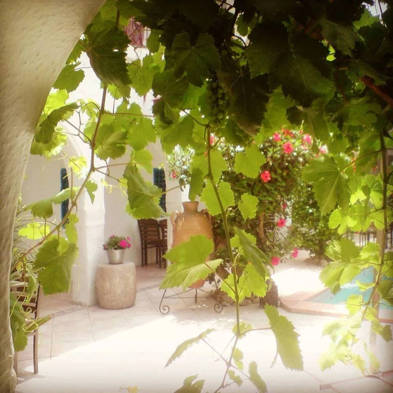 hotel arisha