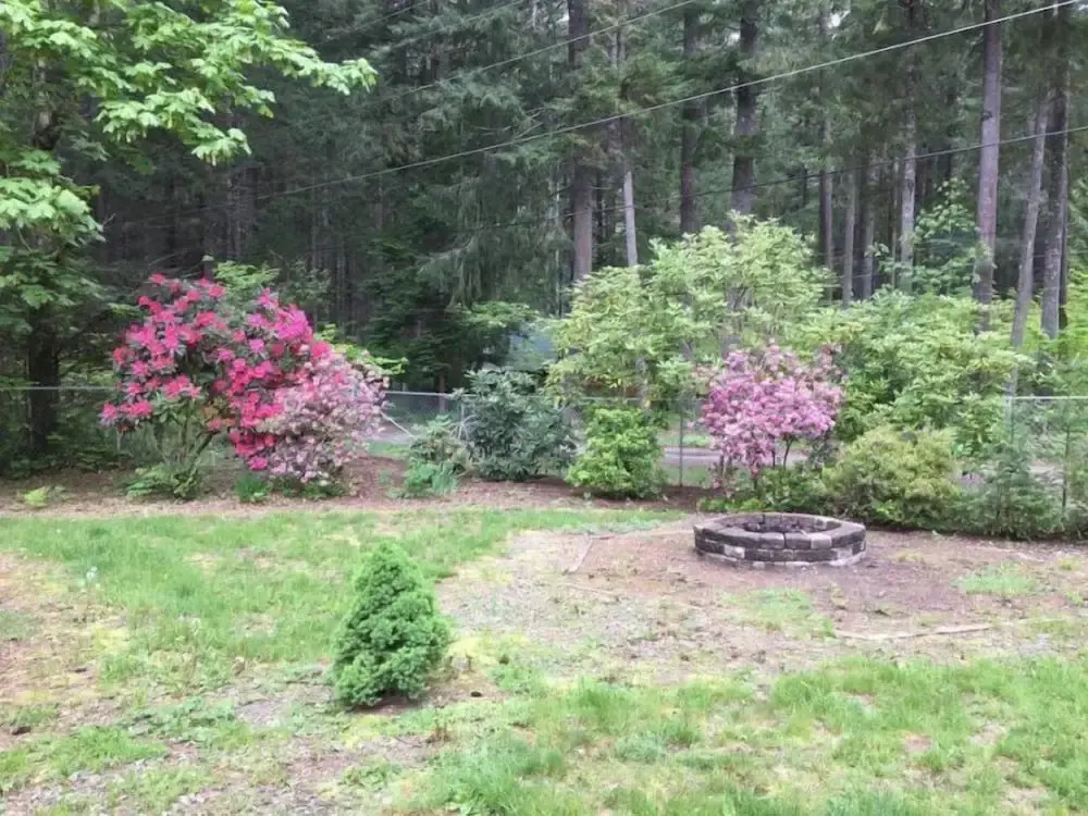 Hopes Cabin