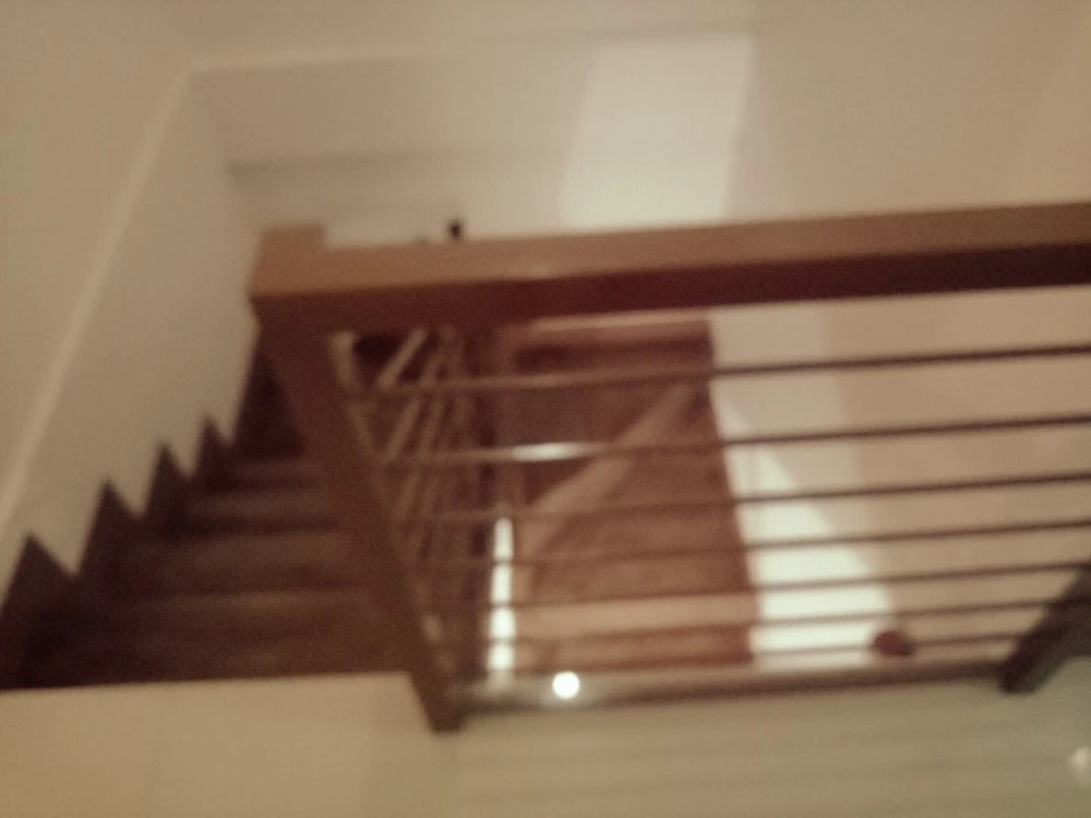 AV7 Guest House