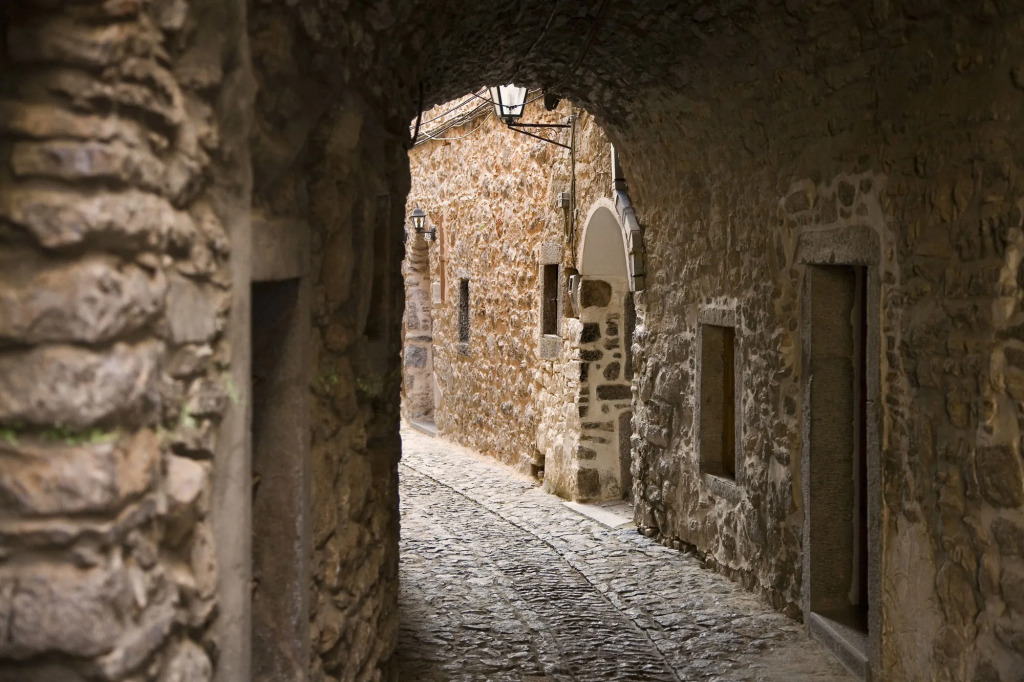 Medieval Castle