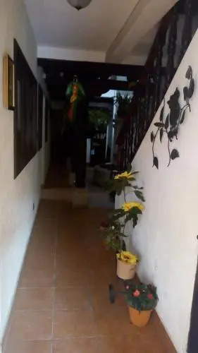 Hotel Dionisio