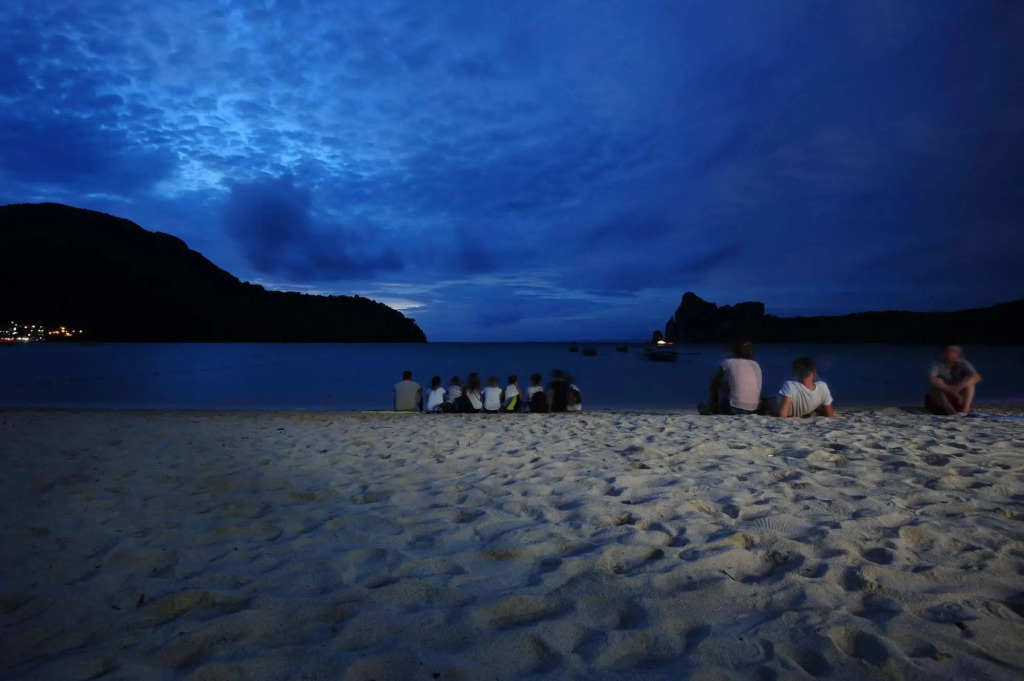Phi Phi Bucket Hostel