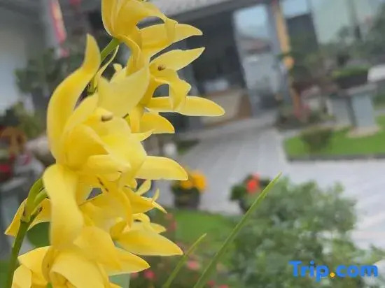 Lijiang Jinglin Hanshe Homestay (Sanyi International Airport)