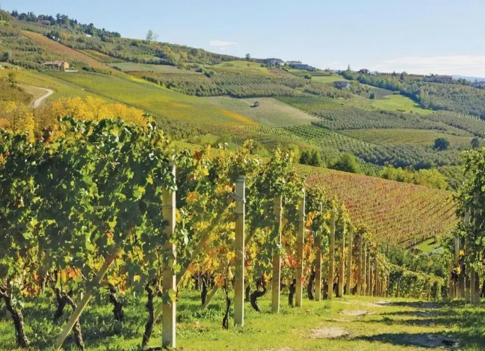 Hillview Langhe Apartment