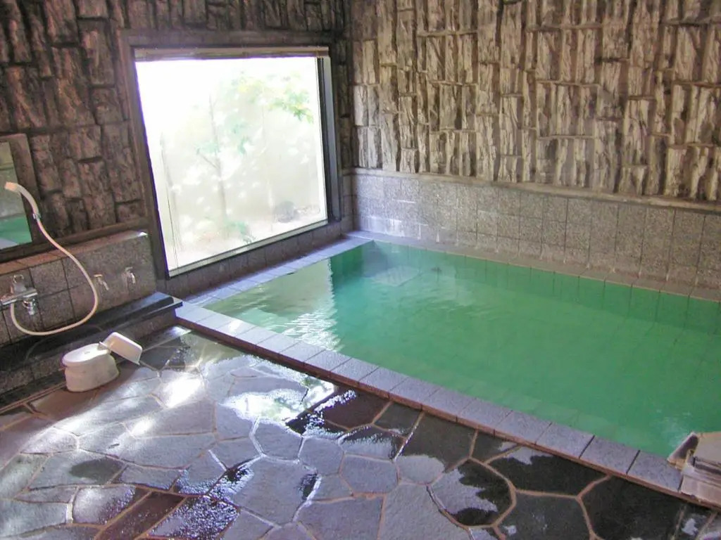 Hotel Route-Inn Suwa Inter