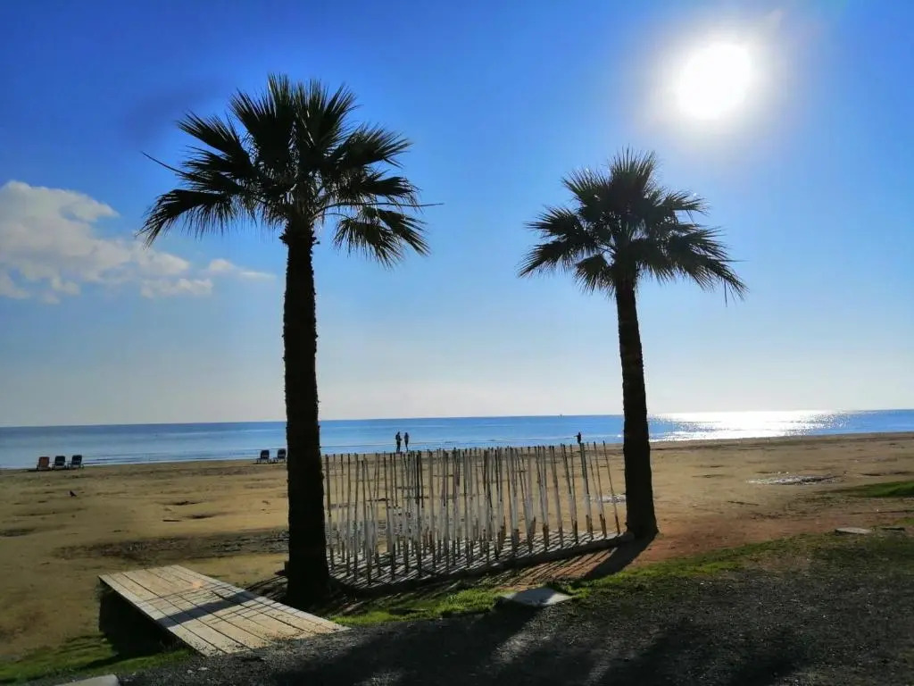 Alex Beach Apartment 203