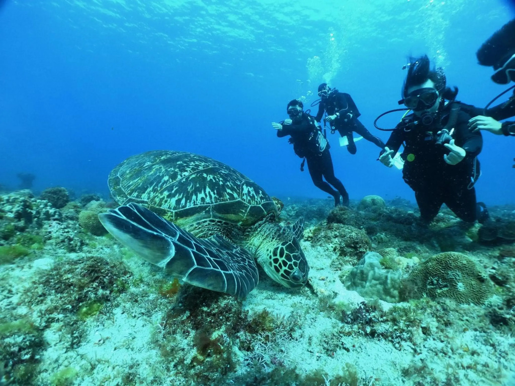 Stay Liuqiu Diving Hostel