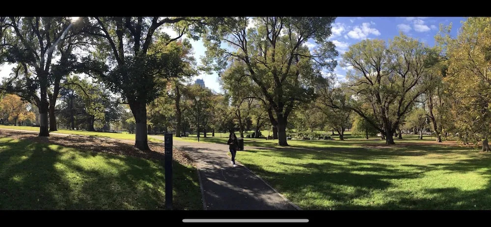 Park view on the City Fringe