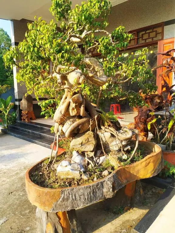 Lang Chai Homestay