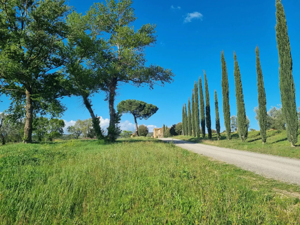 Tasteful Countryside Stay