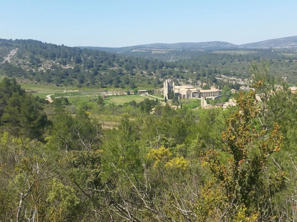 Serene Holiday Home in Lagrasse With Terrace