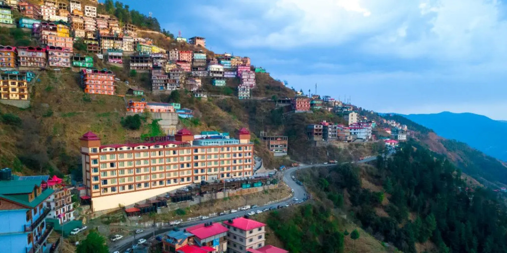 The Orchid Shimla