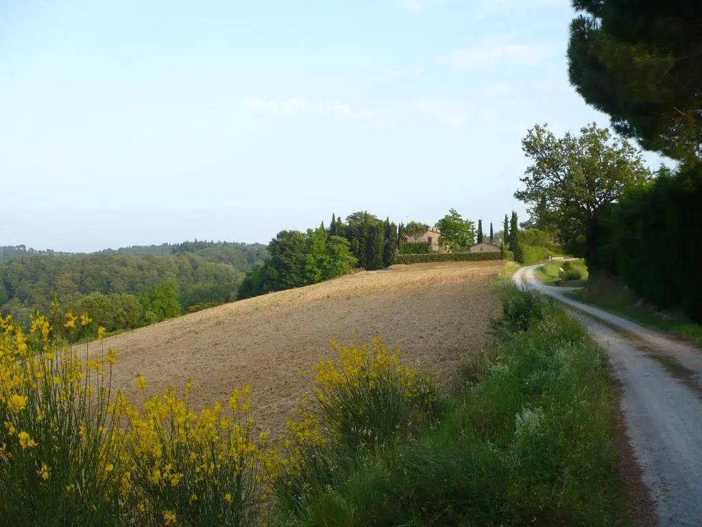 Podere Sionne
